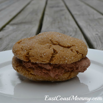 ginger2Bcookie2Bice2Bcream2Bsandwich ginger2Bcookie2Bice2Bcream2Bsandwich