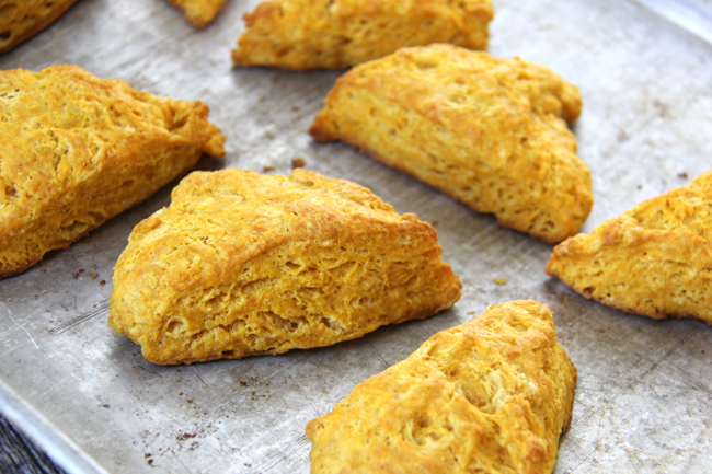 Pumpkin-Biscuits-2A-Pretty-Life