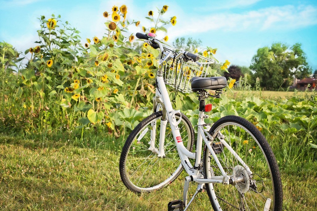 bicycle-871265_1280 bicycle-871265_1280