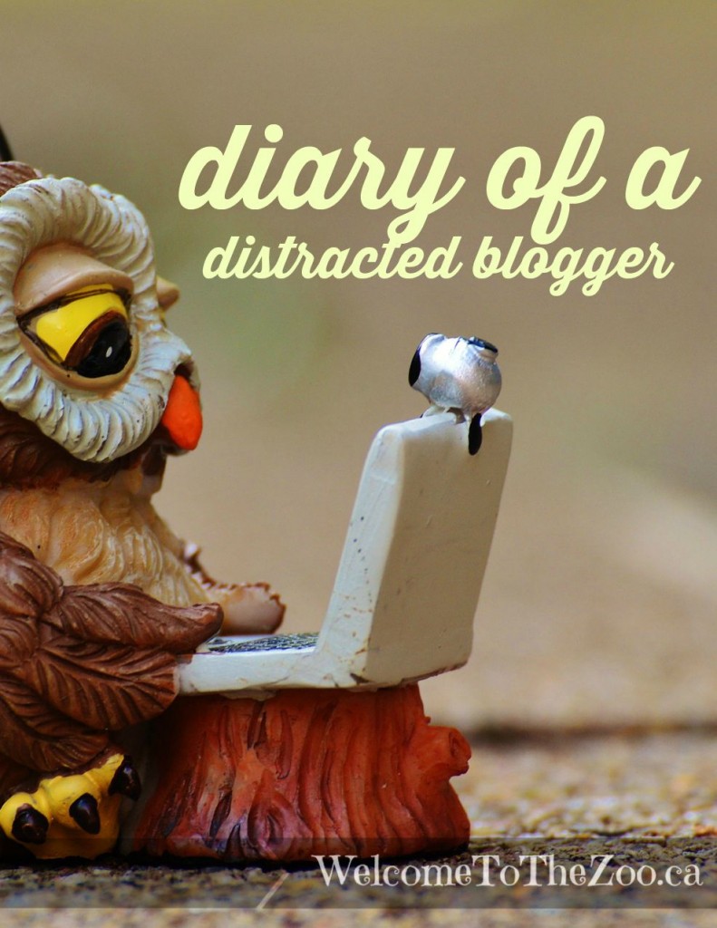 distractedblogger distractedblogger