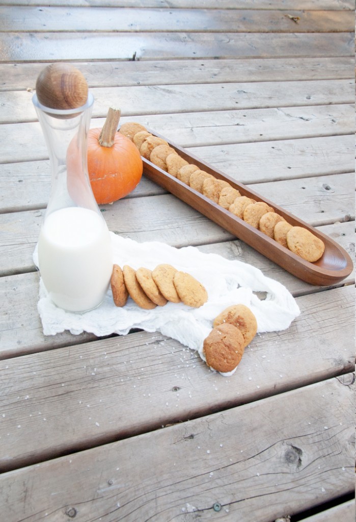 pumpkin-1 pumpkin-1