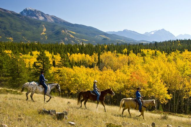 trail-ride-in-fall