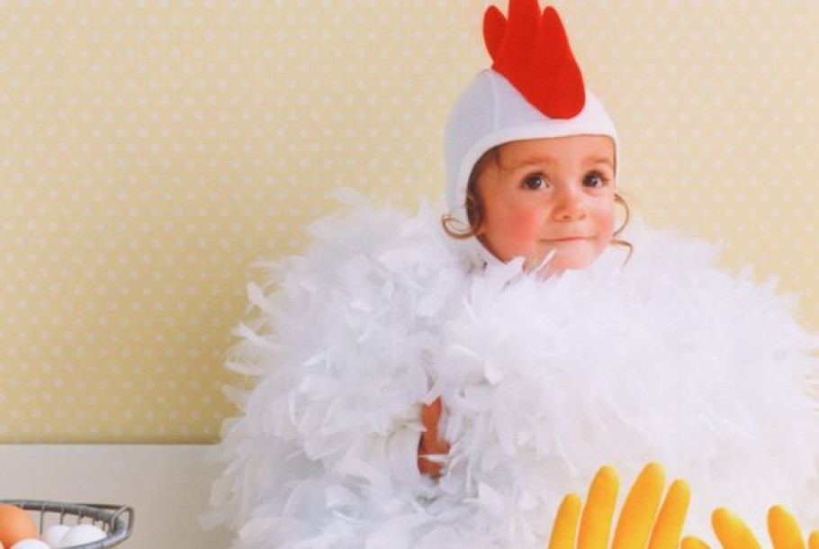 Baby-Chicken-910x610 Baby-Chicken-910x610
