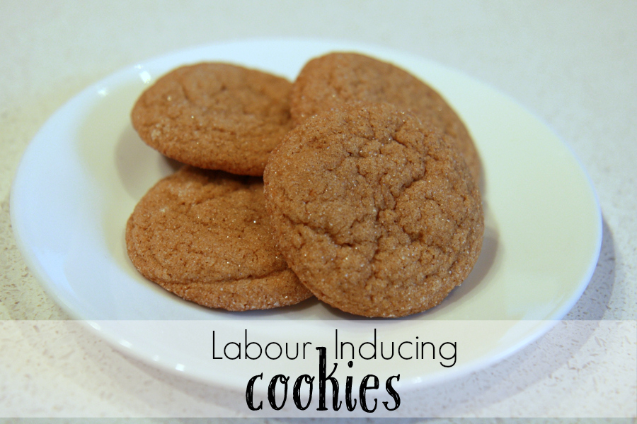 labor_cookies_DiscoveringParenthood2 labor_cookies_DiscoveringParenthood2