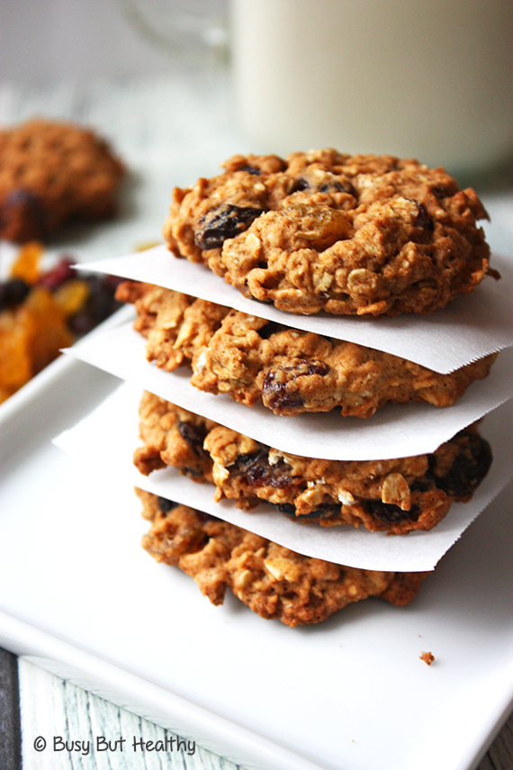 Healthy-Outrageous-Oatmeal-Cookies_1