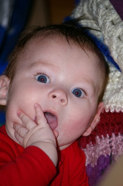 IMG_7880 IMG_7880