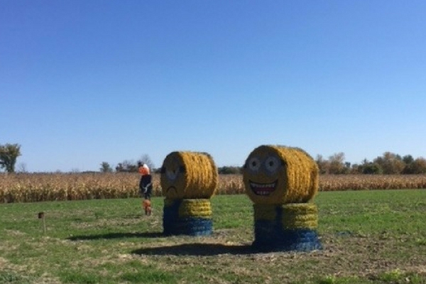 Proulx Farms