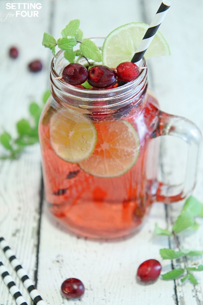 cranberry-mojito-fizz-cocktail1