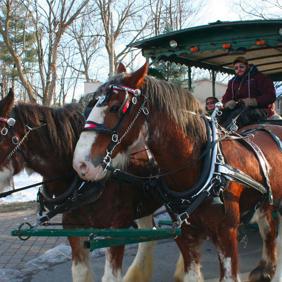 Manotick Olde Fashioned Christmas Parade: Saturday, December 1