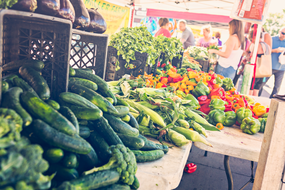 Acorn Creek Garden Farm