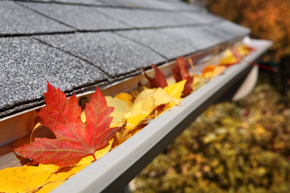 cleaning-gutter cleaning-gutter