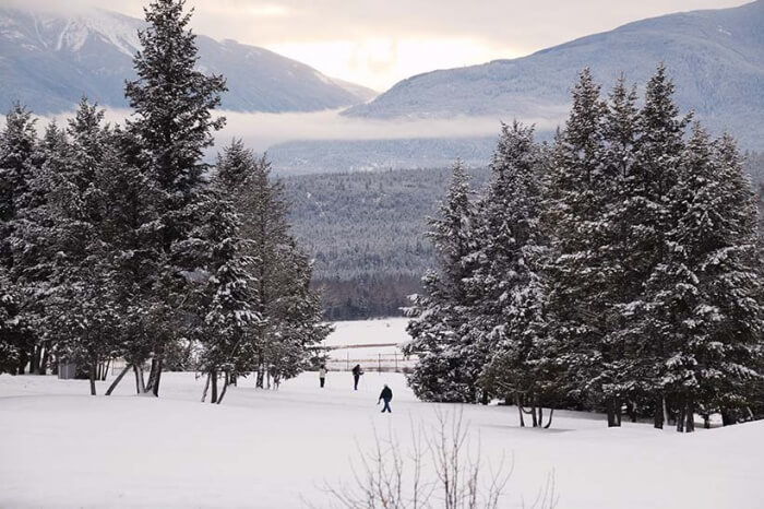 big-horn-meadows-view-700x466