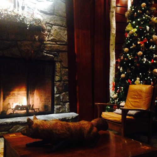 fire-and-christmas-tree fire-and-christmas-tree