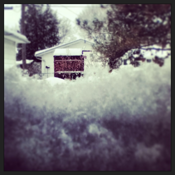 winter winter