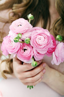 Pink_Ranunculus