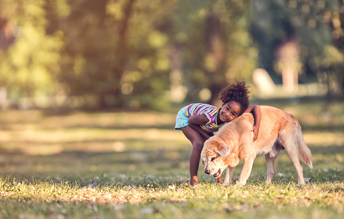 The Ottawa Humane Society