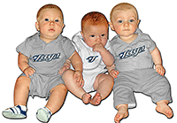 BlueJayBabies