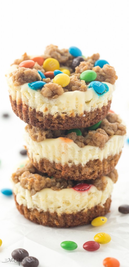 Gluten-Free-Monster-Cookie-Cheesecakes-www.thereciperebel.com-long-3-of-6 Gluten-Free-Monster-Cookie-Cheesecakes-www.thereciperebel.com-long-3-of-6