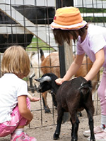 KidsWithGoat