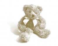 Teddy872