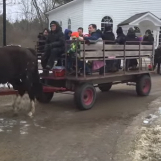 Westfield Heritage Village: Rockton: March: 5, 12, 15, 16, 19, and 26