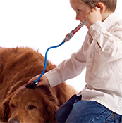 boy_with_dog boy_with_dog