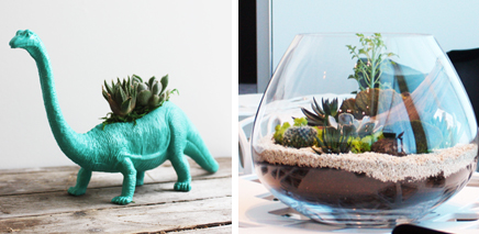 crown_flora_terraniums_2 crown_flora_terraniums_2