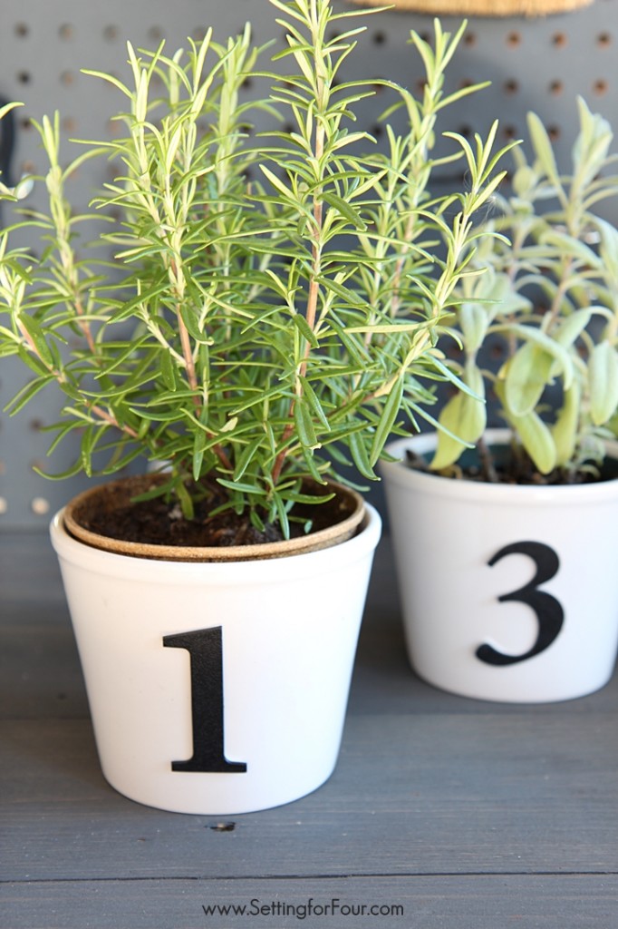 diy-herb-pots-with-numbers-3 diy-herb-pots-with-numbers-3