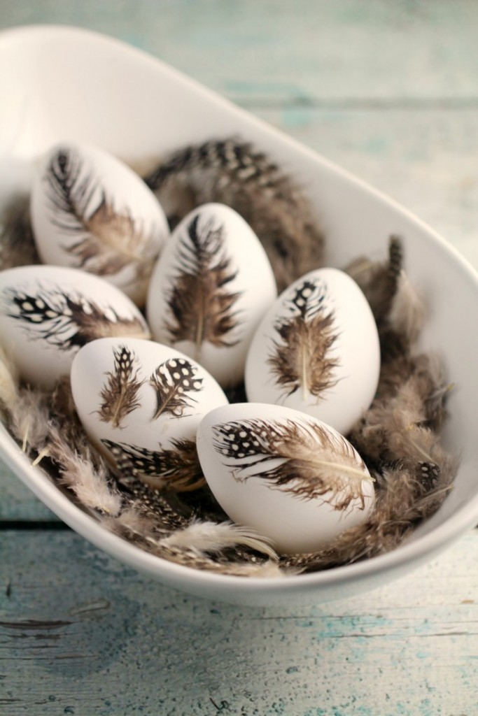 feather-eggs-2