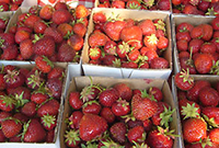 market_strawberries