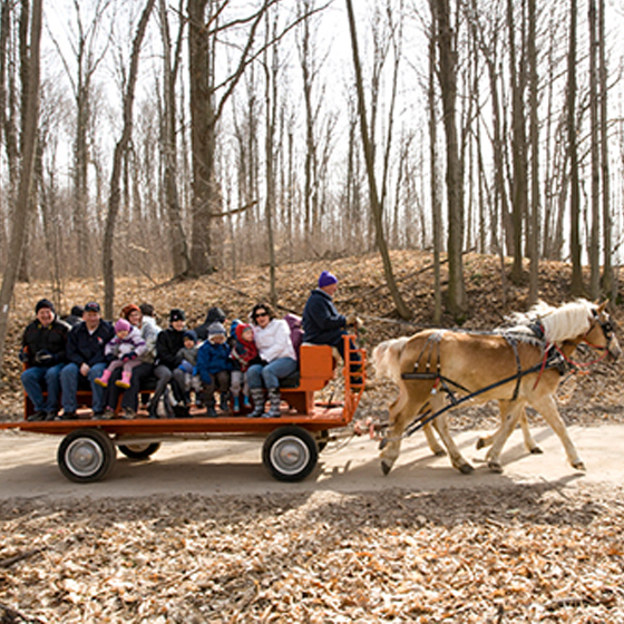 Purple Woods Conservation Area: Oshawa: March 11-19, 25-26, and April 1-2