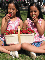 strawberrytwinsimage2