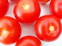 tomatoesII
