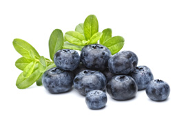 270x180_Blueberries