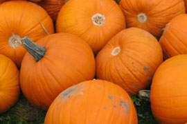 270x180_Pumpkins