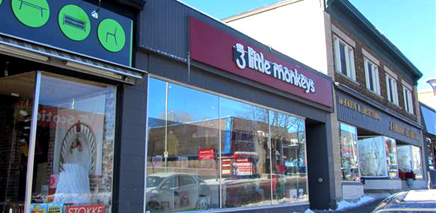 3_little_monkeys_in_ottawa 3_little_monkeys_in_ottawa