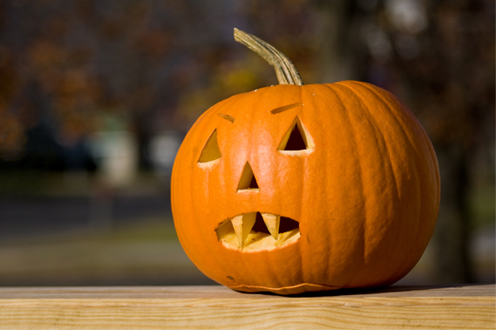 5 Things to Do with Pumpkins When Halloween Is Over - SavvyMom