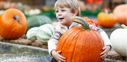 7_perfect_pumpkin_patches_in_ottawa