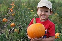 Boywithpumpkininfield