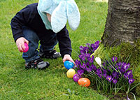 Child_hunts_for_Easter_Eggs
