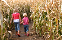 ChildrenInCornMaze