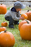 Littleboywithpumpkins