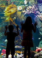 Oceandiscoverycentreimage