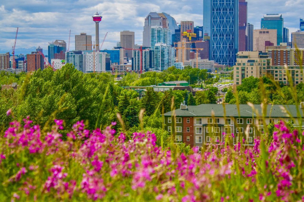 The Savvy Guide to Calgary in May - SavvyMom