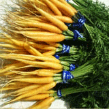 YellowCarrotsjul06