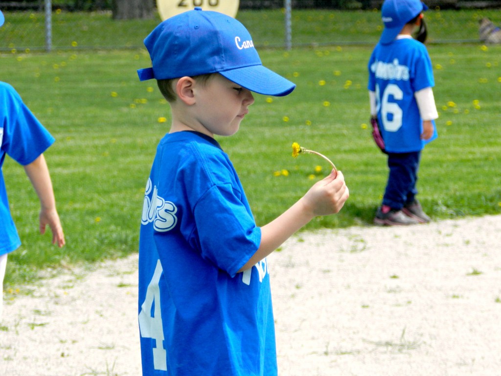 baseball.jpg baseball.jpg