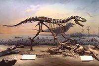 dinohallimage