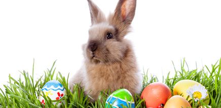 easter_events_in_vancouver_for_kids_2014