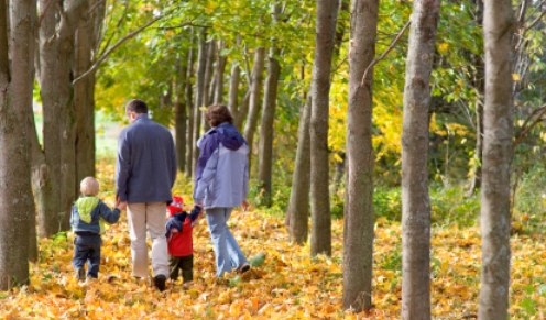 fallfamilyhike