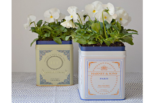 flower_tins_for_mothers_day